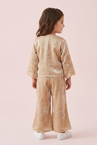 Wish me Girls top and pant wear Ethnic Gown | Premium Occasion Wear